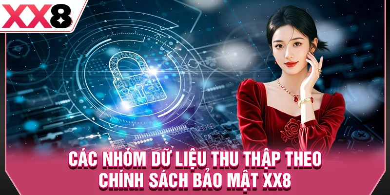Các nhóm dữ liệu thu thập theo chính sách bảo mật XX8
