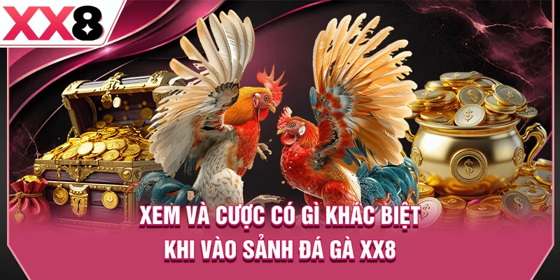 Xem và cược có gì khác biệt khi vào sảnh đá gà XX8